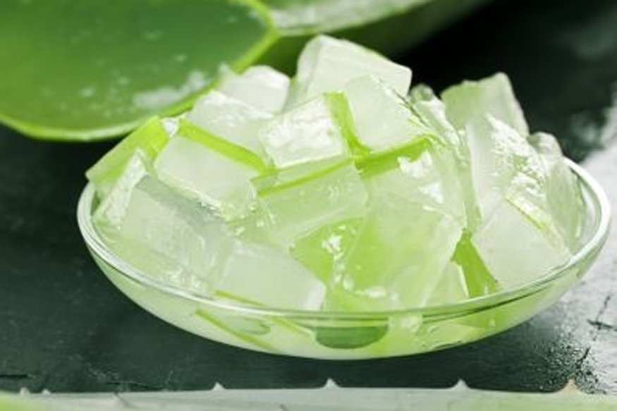 Aloe Vera May Have Beneficial Effects For Diabetics  News18