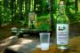 How Absinthe Fired Up a Geographical Discovery in France